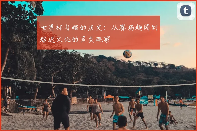 世界杯与猫的历史：从赛场趣闻到球迷文化的另类观察