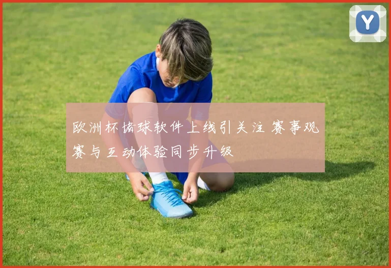 欧洲杯堵球软件上线引关注 赛事观赛与互动体验同步升级