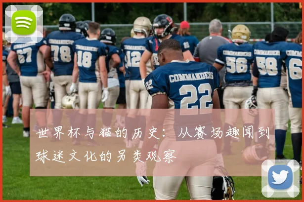 世界杯与猫的历史：从赛场趣闻到球迷文化的另类观察