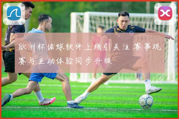 欧洲杯堵球软件上线引关注 赛事观赛与互动体验同步升级