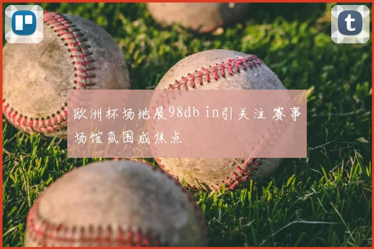 欧洲杯场地展98db in引关注 赛事场馆氛围成焦点