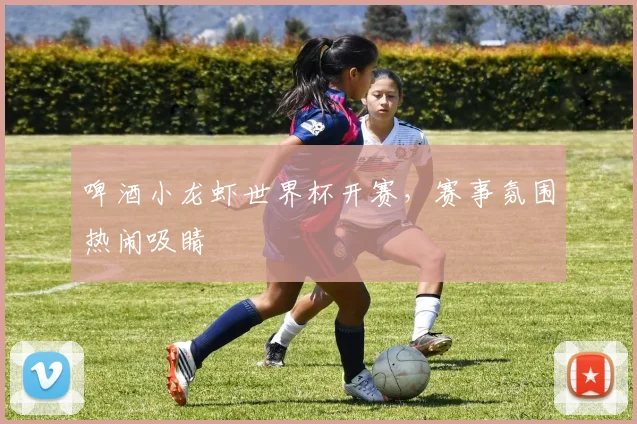 啤酒小龙虾世界杯开赛，赛事氛围热闹吸睛